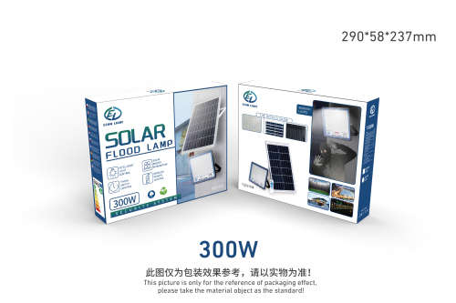 Top Quality Solar Flood lights 300W+Security Light