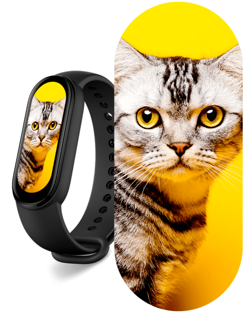 Xiaomi Mi Smart Band 6