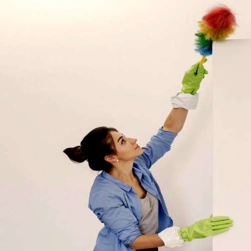 Magic Duster  Synthetic Multi-Colour Cleaning Feather Duster