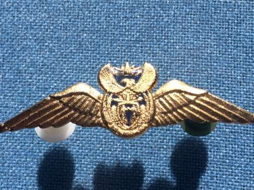 SAAF Gold mess dress brevet/wing 1000 flying hours flight time