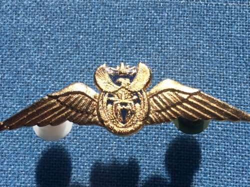 SAAF Gold mess dress brevet/wing 1000 flying hours flight time