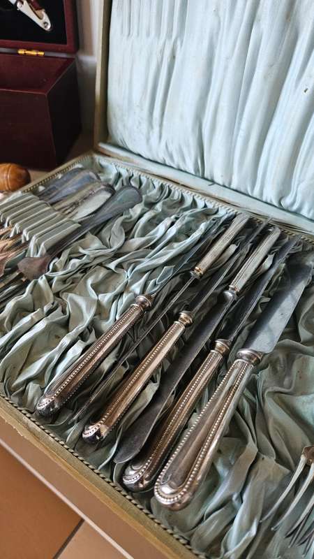 Vintage Agenta 40 silver plated cutlery set in original case