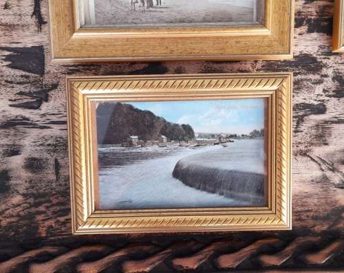 6 gilt frames