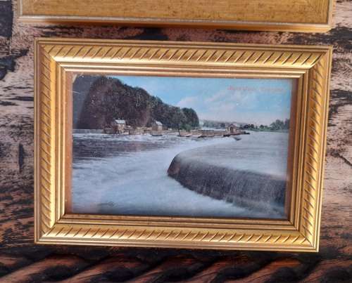 6 gilt frames