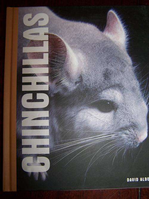 Chinchillas