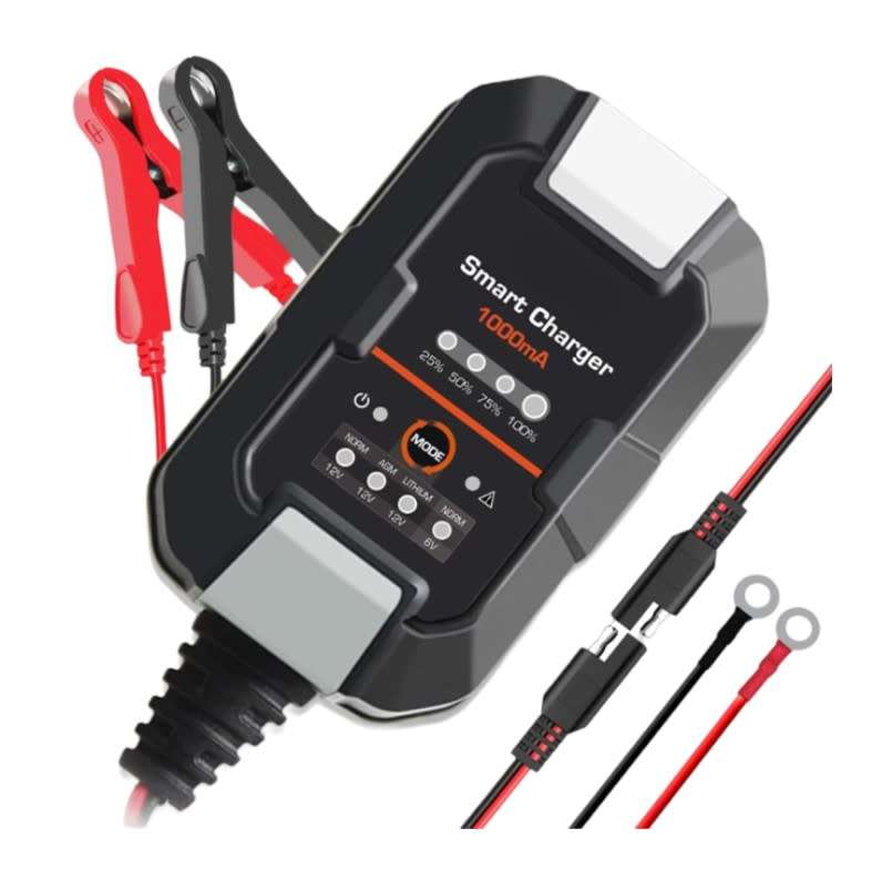12V Lithium Car Battery Charger (pulse repair Function) Q-DP077
