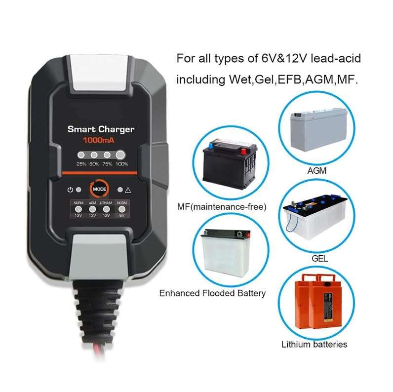 12V Lithium Car Battery Charger (pulse repair Function) Q-DP077