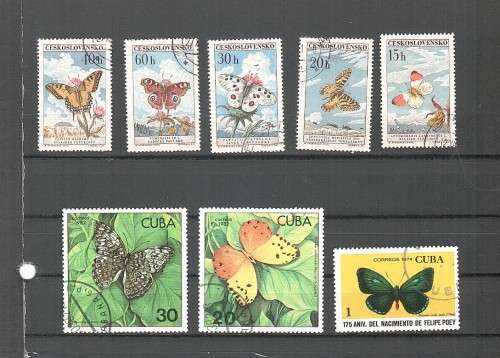 Variety Lot