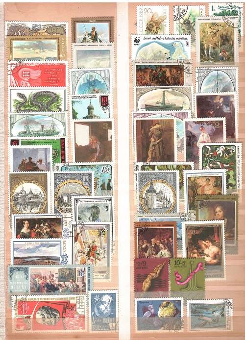 Russian (USSR) variety