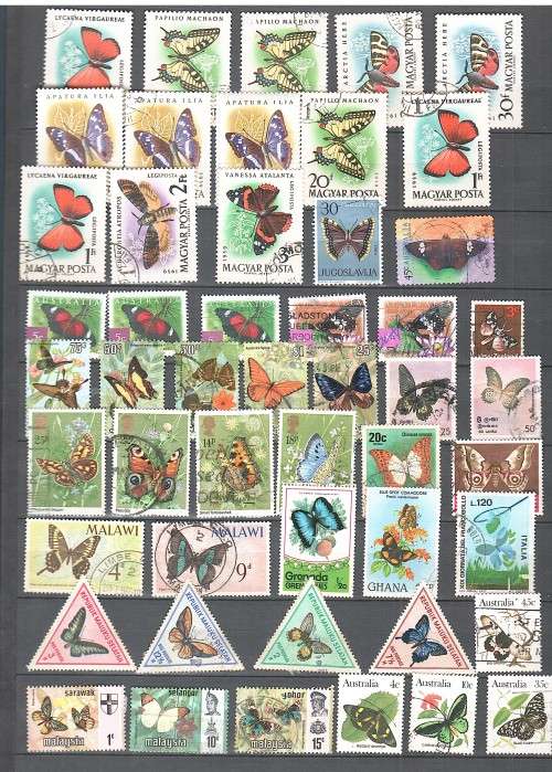 Variety Lot