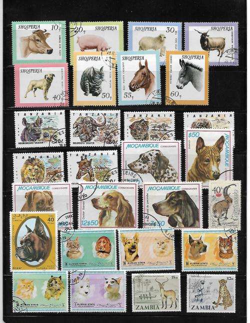 Animal Thematics