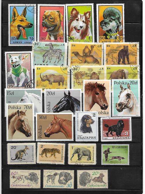Animal Thematics