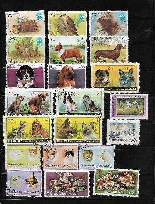 Animal Thematics