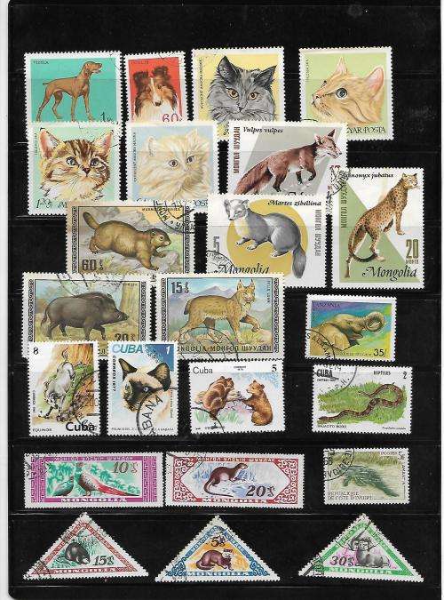 Animal Thematics