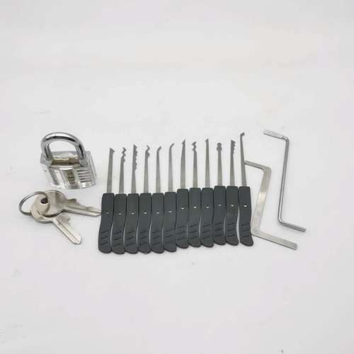 12 Piece Stainless Steel *Mini* Lock Pick Set