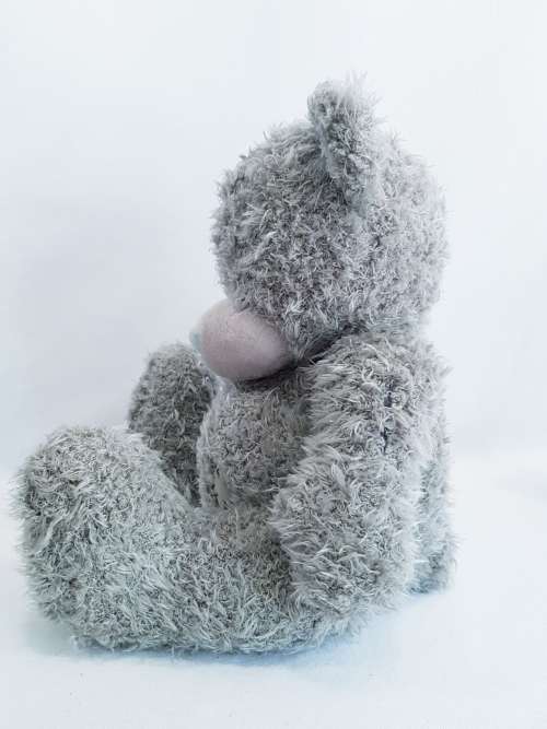 "Me To You" Tatty Teddy
