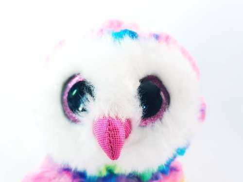 TY Beanie Boo