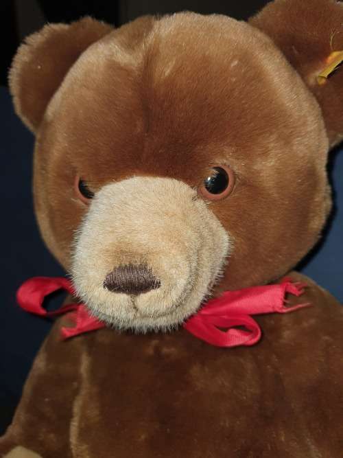 Steiff Large Petsy Teddy Bear