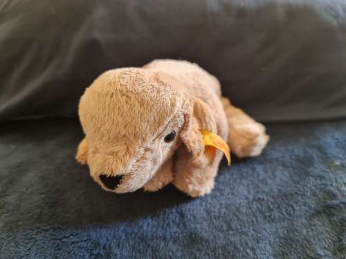 Steiff Dog