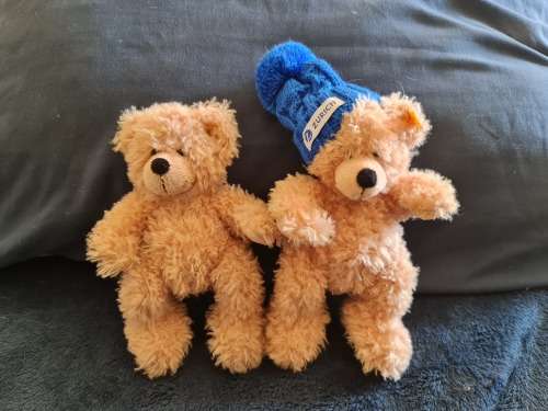 Small Steiff Bears