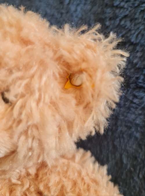 Small Steiff Bears