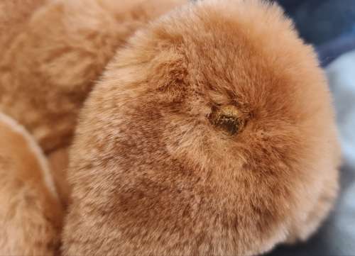 Steiff Rabbit