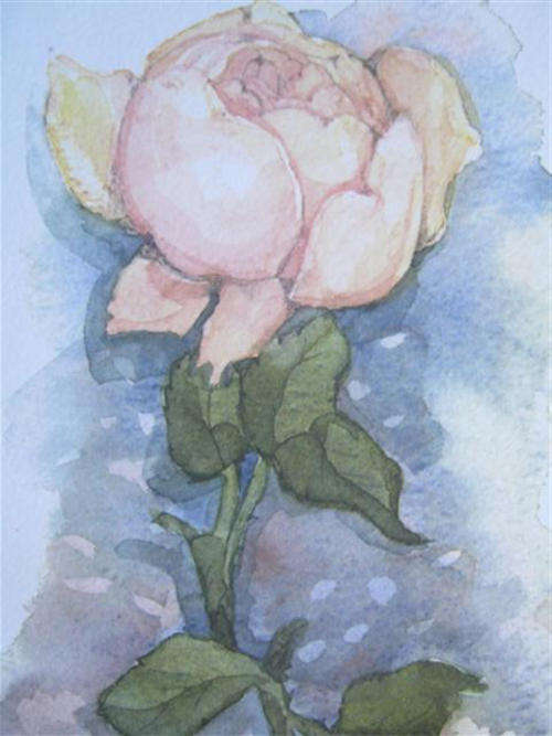 R1.00    PRINT OF AN ORIGINAL WATERCOLOUR FROM THE LADY GREY COLLECTION, BY ELISE GREY