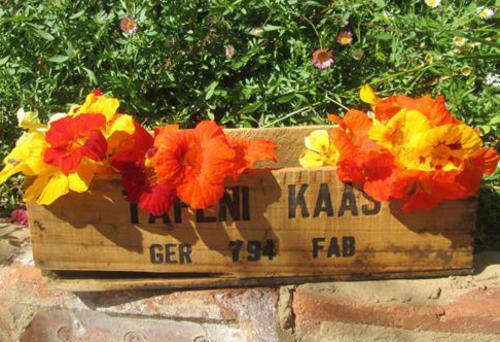 SHABBY CHIC AND VINTAGE WOODEN CRATE, TAFENI KAAS.