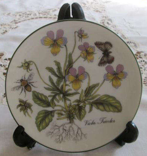 JONES AND MIDDELTON ENGLAND VIOLA TRICOLOR PLATE