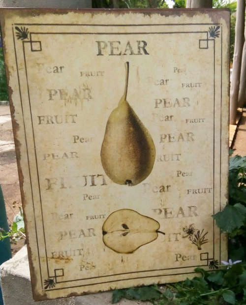 VINTAGE, HEAVY QUALITY METAL, BOTANICAL PICTURE OF A , MADE TO LOOK OLD....GREAT CONDITION.