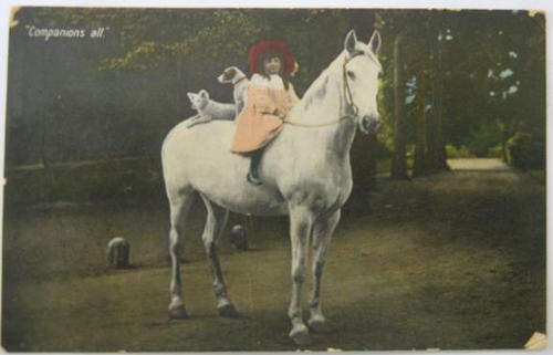 1918, VINTAGE PHOTOGRAPIC FLAT GLOSS POST CARD WITH CHILD AND DOGS SITTING ON A HORSE.