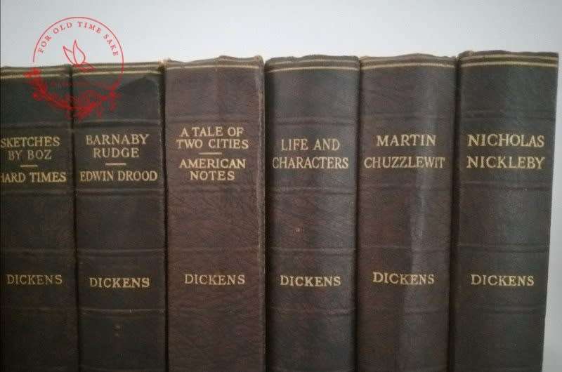The Works of Charles Dickens 15 Volume Set