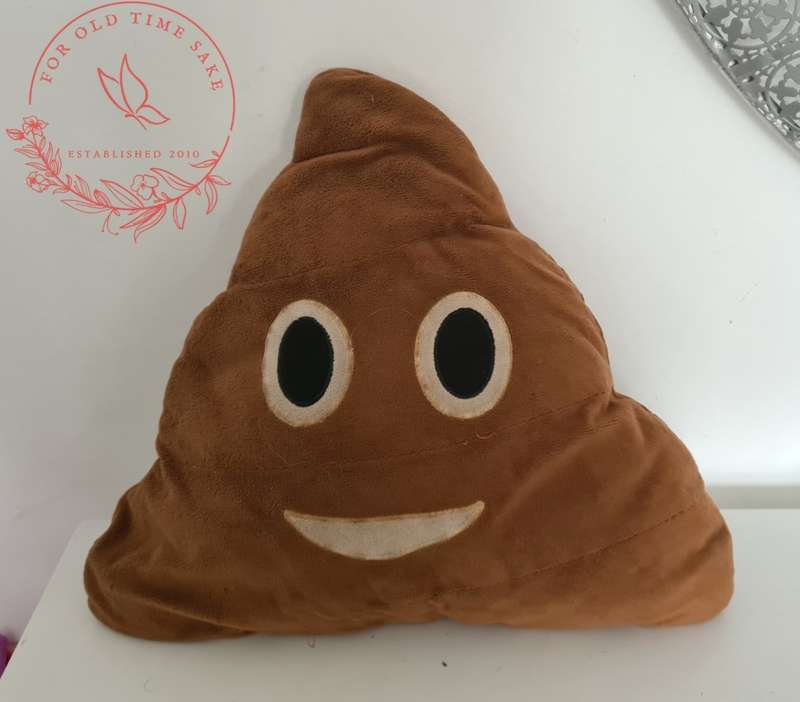 37cm Poo Emoji Pillow