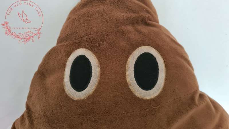 37cm Poo Emoji Pillow