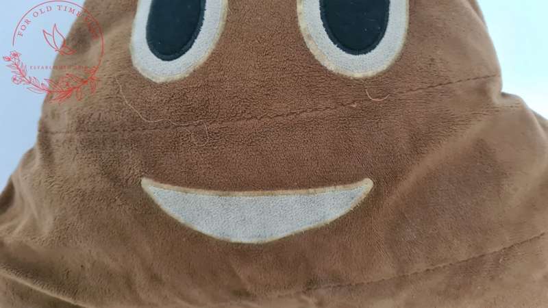 37cm Poo Emoji Pillow