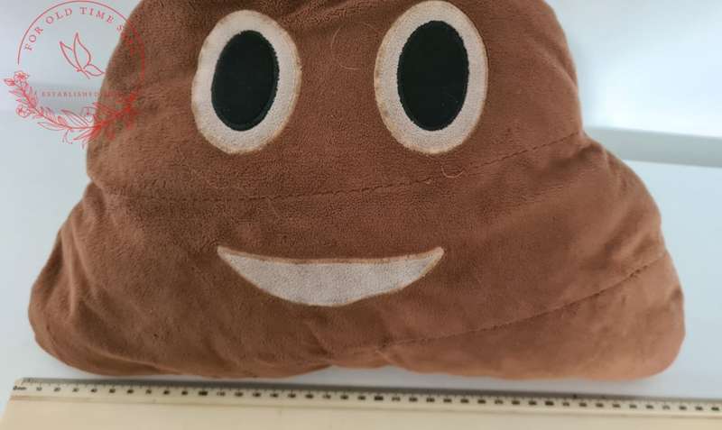 37cm Poo Emoji Pillow