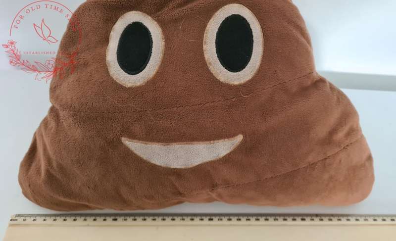 37cm Poo Emoji Pillow