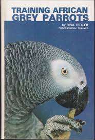 Training African Grey Parrots.  Risa Teitler