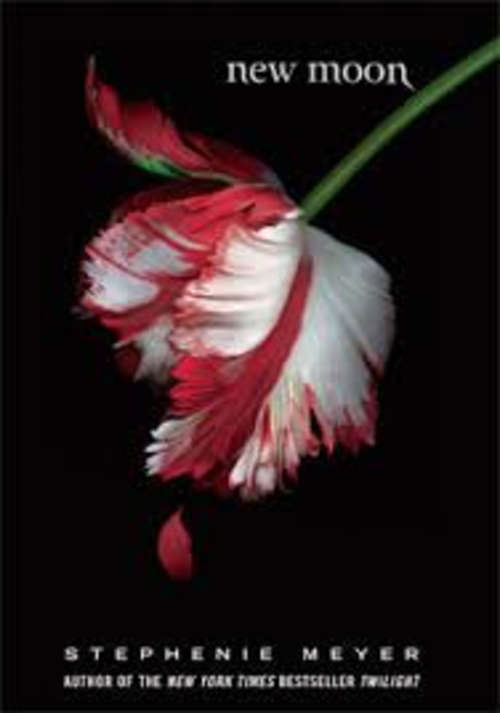 New moon.  Stephenie meyer