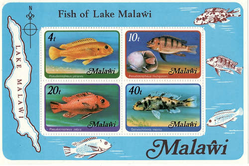 MALAWI 1977FISH OF LAKE MALAWI and HANDCRAFTS MINIATURE SHEETS UNMOUNTED MINT MS 556A and 546CAT R95