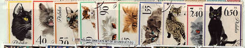 POLAND 1964 CATS SET OF 10 USED (CTO).SG 1469-1478