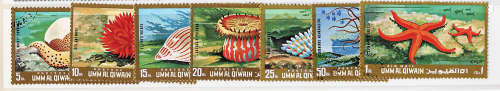UMM AL QIWAIN 1972 MARINE ANIMALS (SEA LIFE) SHORT SET OF 7-8 CTO