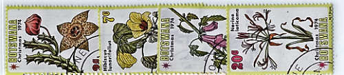 BOTSWANA 1974 CHRISTMAS (FLOWERS) SET OF 4 USED WITH 1ST DAY CANCELS.SG 336-39