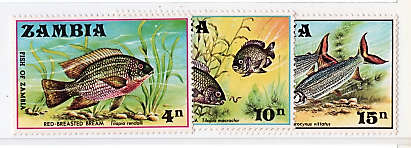 ZAMBIA 1971 FISH SET OF 3 MOUNTED MINT.SG 165-67