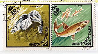 MONGOLIA 1975 FISH 2 STAMPS.SG 933-35