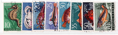 YUGOSLAVIA 1956 ADRIATIC SEA CREATURES SHORT SET OF 8-9 VFU.SG 825-32