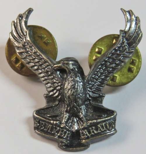 SWA Air Force collar badge - Aps