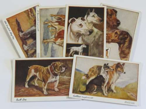 Set of 6 dog postcards from Vernon Stokes Painting`s - Unused celesque series
