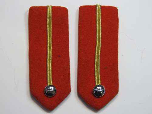 SA Army colonel to Brigadier rank gorgets