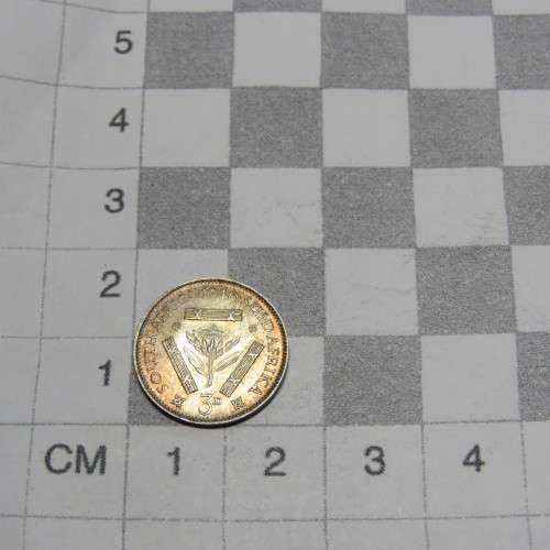 1946 South Africa threepence - UNC